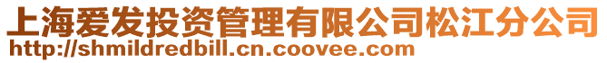 上海愛發(fā)投資管理有限公司松江分公司