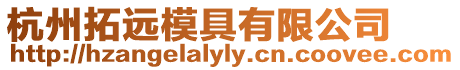 杭州拓遠模具有限公司