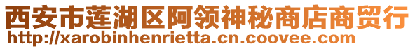 西安市蓮湖區(qū)阿領(lǐng)神秘商店商貿(mào)行