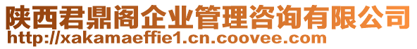 陜西君鼎閣企業(yè)管理咨詢有限公司