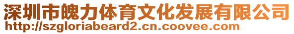 深圳市魄力體育文化發展有限公司