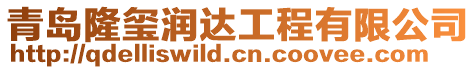 青島隆璽潤達工程有限公司