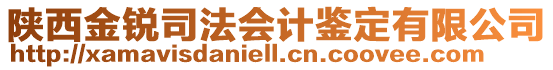 陜西金銳司法會計鑒定有限公司