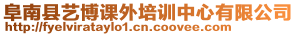 阜南縣藝博課外培訓中心有限公司