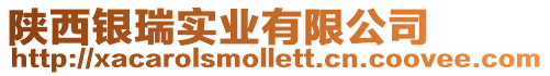 陜西銀瑞實業有限公司