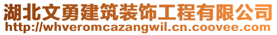 湖北文勇建筑裝飾工程有限公司