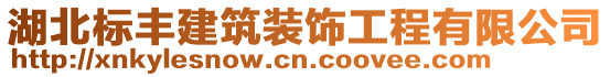 湖北標豐建筑裝飾工程有限公司