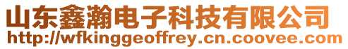 山東鑫瀚電子科技有限公司