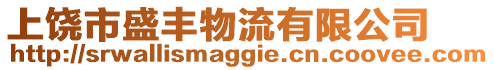 上饒市盛豐物流有限公司