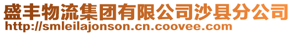 盛豐物流集團有限公司沙縣分公司