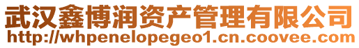 武漢鑫博潤資產(chǎn)管理有限公司
