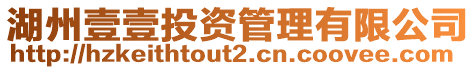 湖州壹壹投資管理有限公司