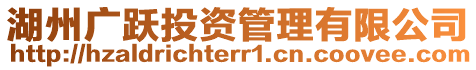 湖州廣躍投資管理有限公司