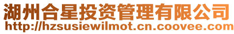 湖州合星投資管理有限公司