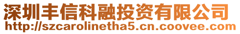 深圳豐信科融投資有限公司