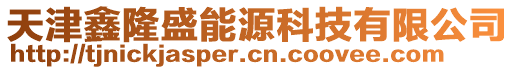 天津鑫隆盛能源科技有限公司