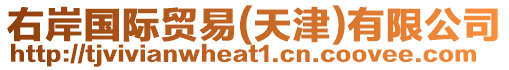 右岸國際貿(mào)易(天津)有限公司