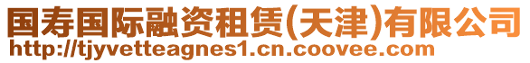 國壽國際融資租賃(天津)有限公司