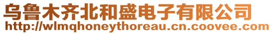 烏魯木齊北和盛電子有限公司