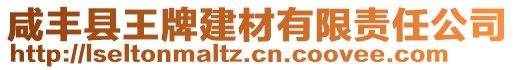 咸豐縣王牌建材有限責任公司