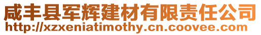 咸豐縣軍輝建材有限責任公司