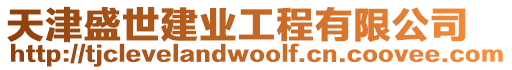 天津盛世建業工程有限公司