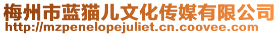 梅州市藍貓兒文化傳媒有限公司
