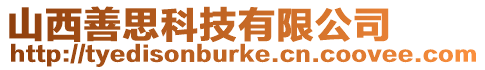 山西善思科技有限公司