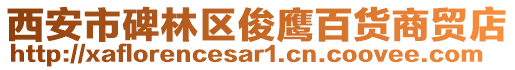 西安市碑林區(qū)俊鷹百貨商貿(mào)店