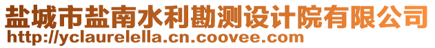 鹽城市鹽南水利勘測設計院有限公司
