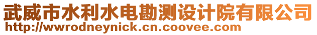 武威市水利水電勘測設計院有限公司
