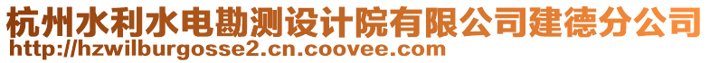 杭州水利水電勘測設計院有限公司建德分公司