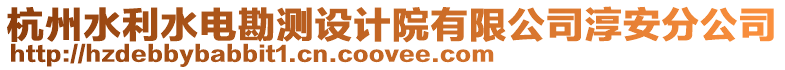 杭州水利水電勘測設計院有限公司淳安分公司