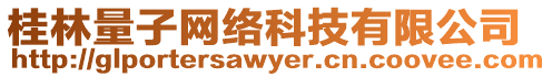 桂林量子網絡科技有限公司