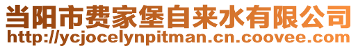 當陽市費家堡自來水有限公司