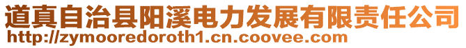 道真自治縣陽溪電力發展有限責任公司