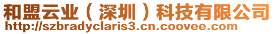 和盟云業(深圳)科技有限公司