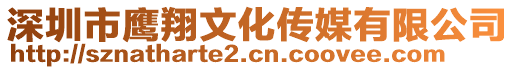 深圳市鷹翔文化傳媒有限公司