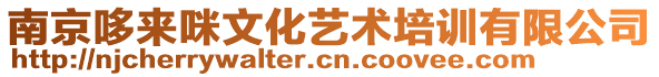 南京哆來咪文化藝術(shù)培訓(xùn)有限公司