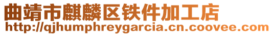 曲靖市麒麟?yún)^(qū)鐵件加工店