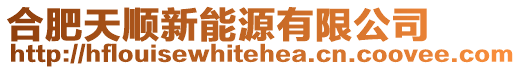 合肥天順新能源有限公司