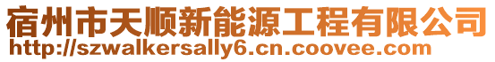 宿州市天順新能源工程有限公司