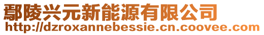 鄢陵興元新能源有限公司