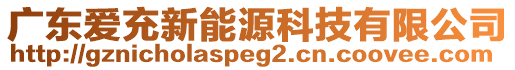 廣東愛充新能源科技有限公司