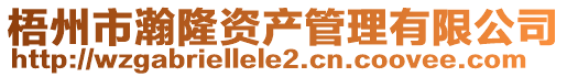 梧州市瀚隆資產管理有限公司
