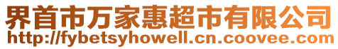 界首市萬家惠超市有限公司