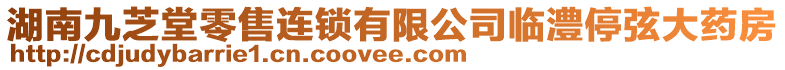 湖南九芝堂零售連鎖有限公司臨澧停弦大藥房