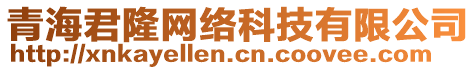 青海君隆網(wǎng)絡(luò)科技有限公司