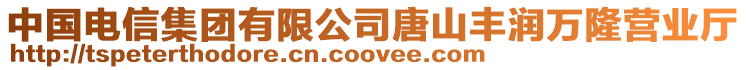 中國(guó)電信集團(tuán)有限公司唐山豐潤(rùn)萬(wàn)隆營(yíng)業(yè)廳