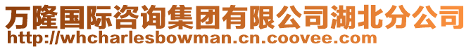 萬隆國際咨詢集團有限公司湖北分公司
